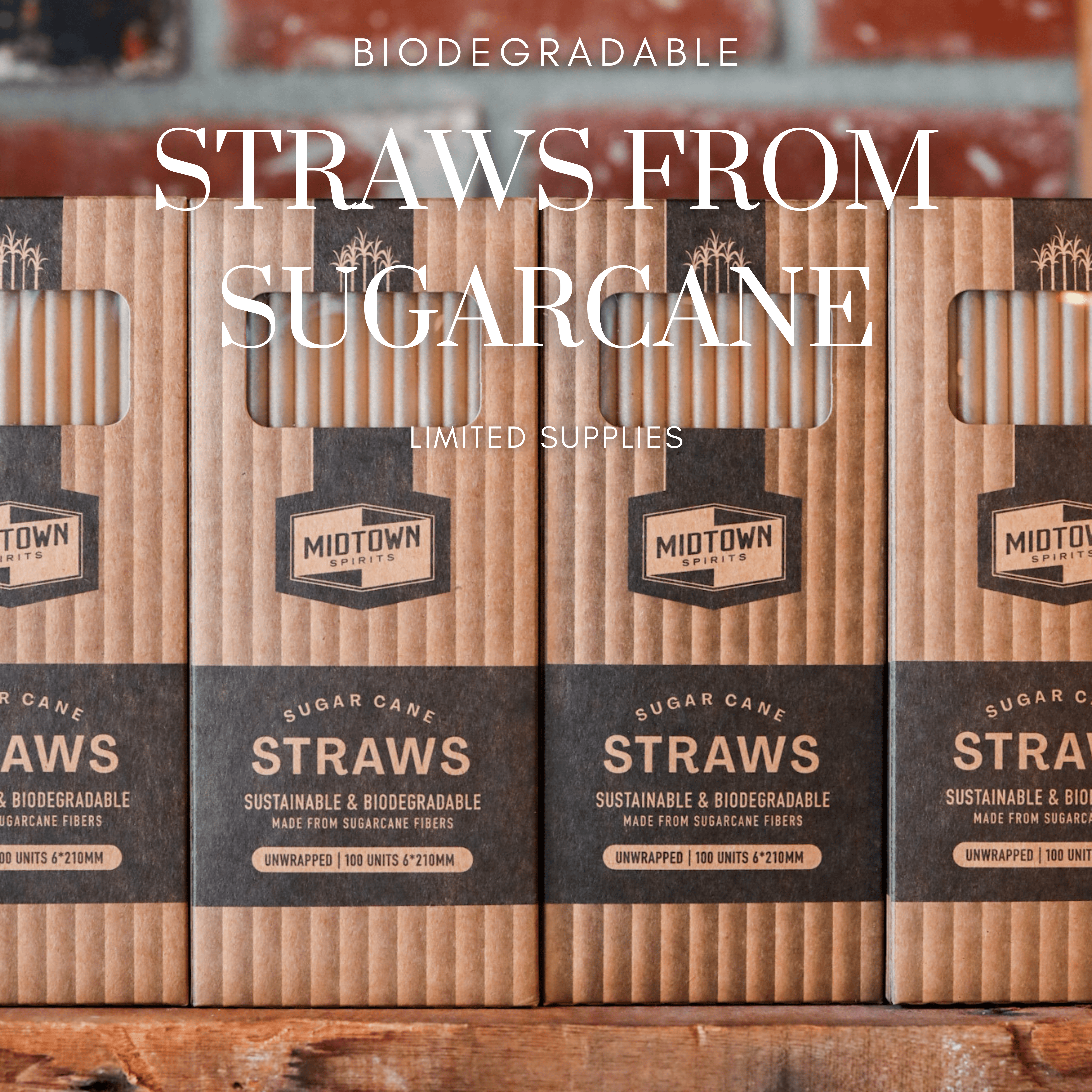 SUGARCANE STRAWS